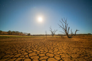 Efectos del cambio climático en la seguridad y salud de los trabajadores